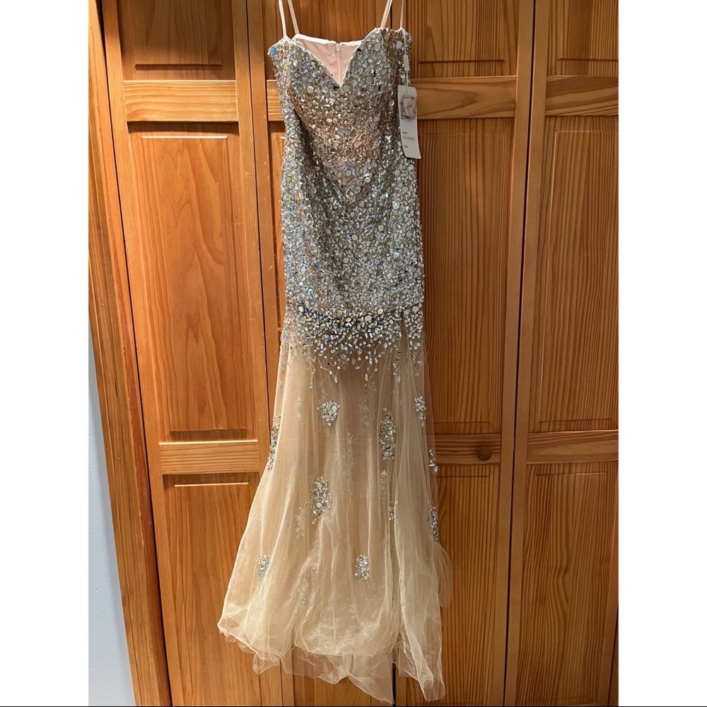 NWT Cinderella prom gown size 10
